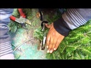 youtube - [Video]