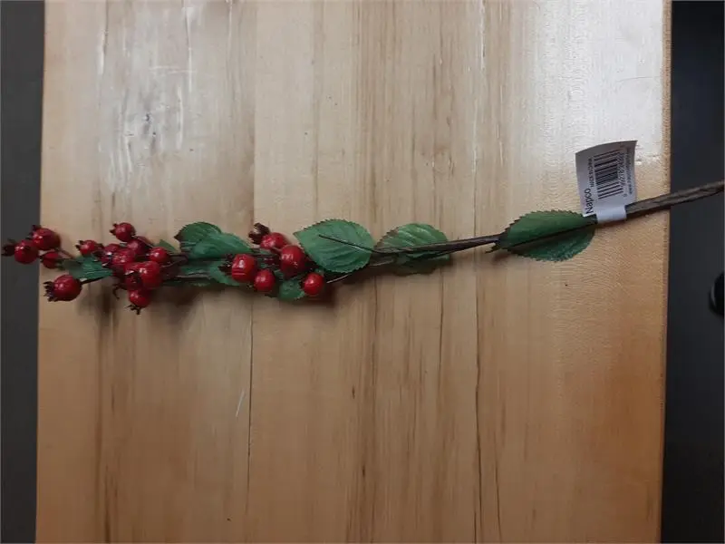 Red/Burgundy Mini Pomegranate