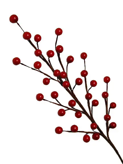 18" Berry Pick (Dozen)