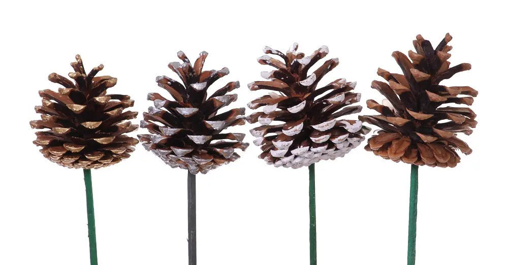 White Tipped Pine Cones 2.5'' on Pick(100 Pieces)