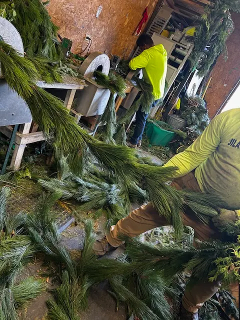 50' NORWAY RED PINE GARLAND 