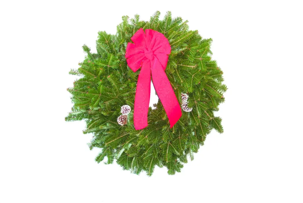 Balsam wreath, 24 OA