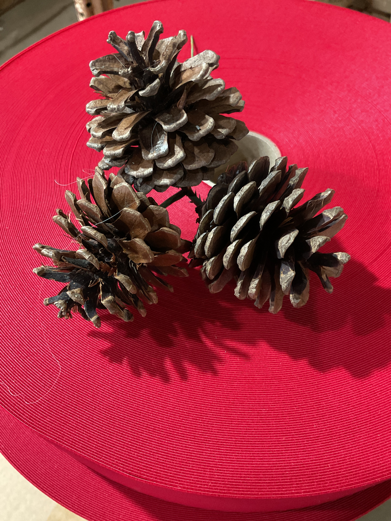 2.5'' Cone Pick x 3 Natural (50/Box)