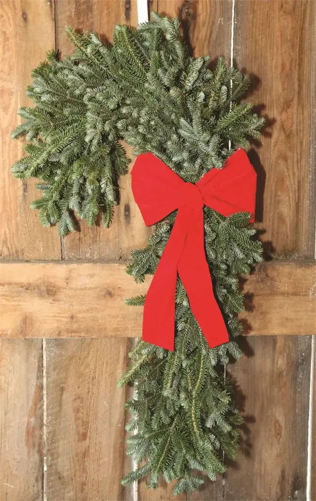 24" CANDY CANE LEFT FACING