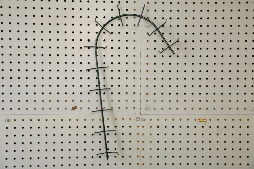 18" CLAMP CANDY CANE (RIGHT) BUNDLE OF 25