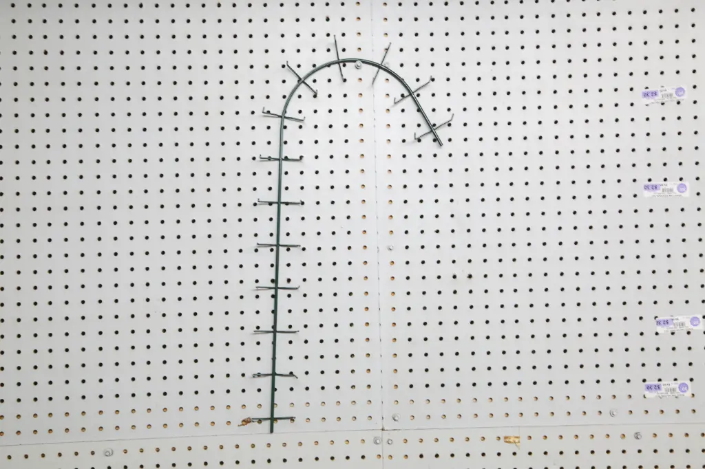 24" CLAMP CANDY CANE (RIGHT) BUNDLE OF 25