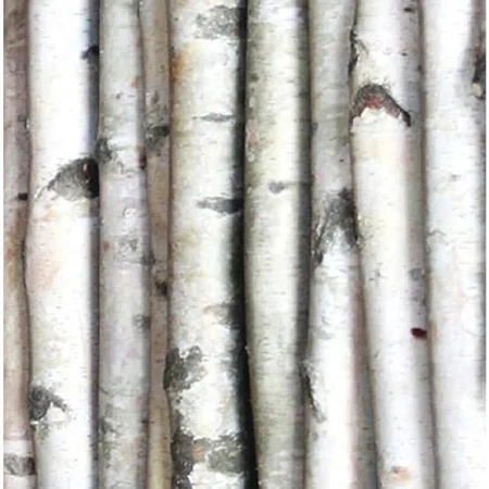 100" Birch Pole 