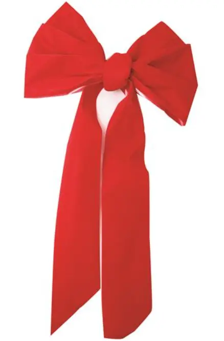 6-LOOP STANDARD VELVET BOW #40