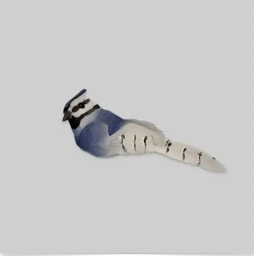 [MH15584] Mushroom Bluejay, 12/box