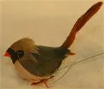 [MH05562] BABY FEMALE CARDINAL (1 dozen)