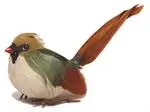 [MH05564] FEMALE CARDINAL ADULT (1 dozen)