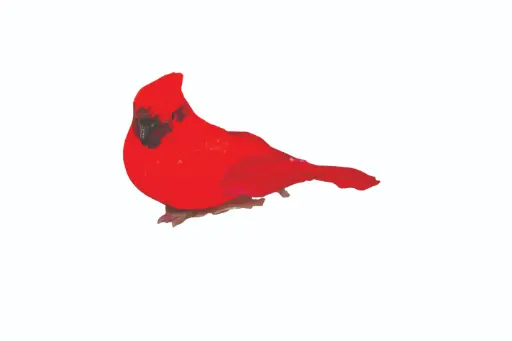 [DP3000RD] 6" Red Cardinal w/Wire (dozen)