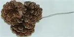 [TCN ] TRIPLE CLUSTER CONES WIRED PER CASE (100 PER CASE) NATURAL