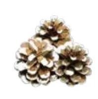 [TCWP ] Triple Cluster White - 100