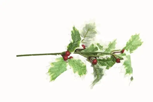 [XH00959GR/WH ] Holly Spray 12-LF