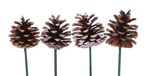 [MSX3000W] White Tipped Pine Cones 2.5'' on Pick(100 Pieces)