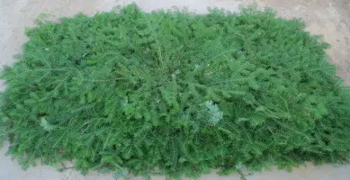 [GBA-12] ADULT GRAVE BLANKET 36" X 72" DOZEN