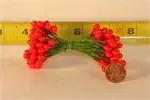 [326284RED] 4-5mm Double Ender Berry 20 gross per 