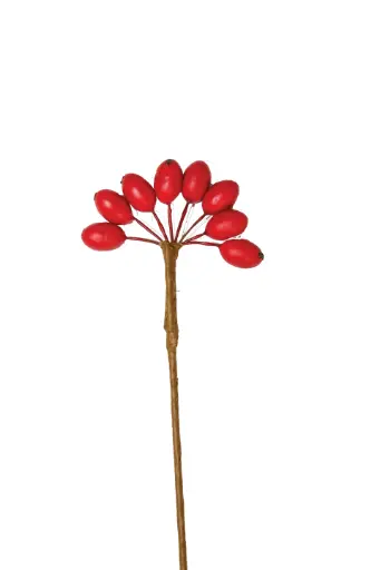 [PLX4001RD] Red Chili Bean Spray 12/Bag (Waterproof)