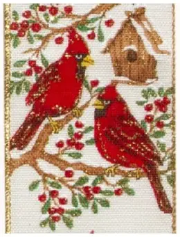 [414574] W Cardinal Multi 2.5" X 10 Yard